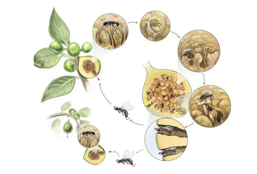 6-12岁儿童油画棒画教程,油画棒水彩结合作品儿童画