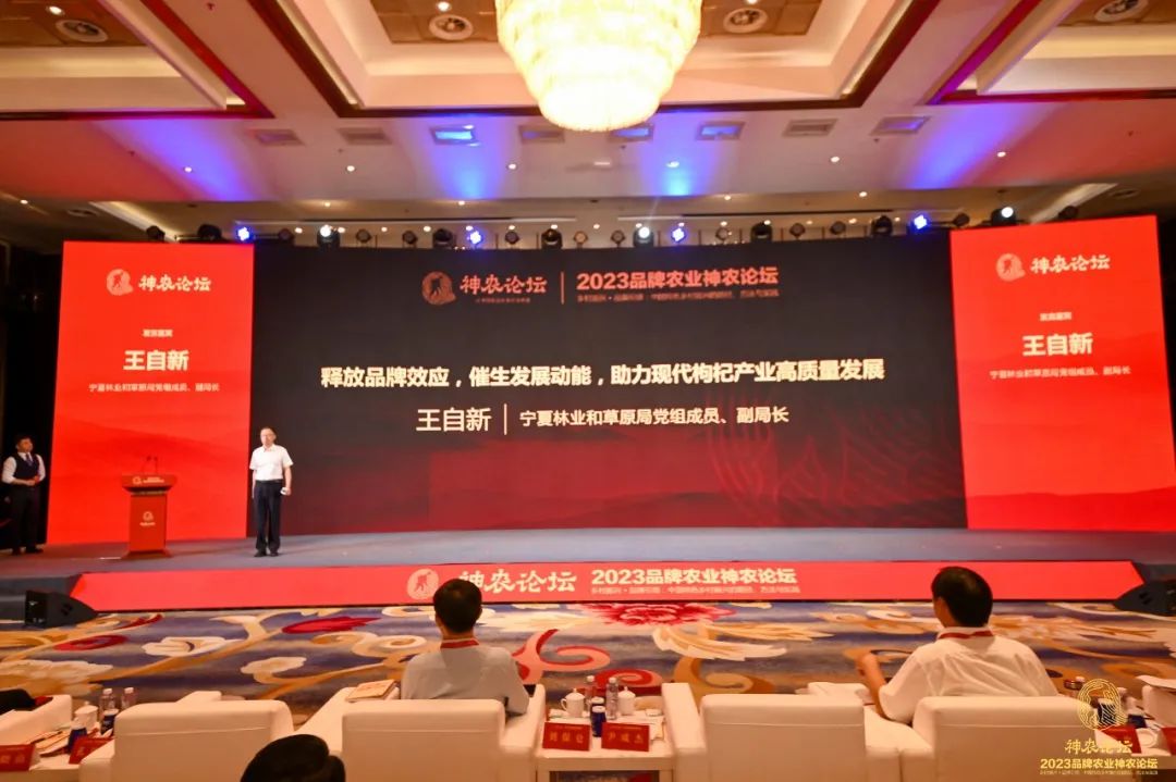 宁夏进一步加强枸杞产业质量,宁夏枸杞产业发展成就