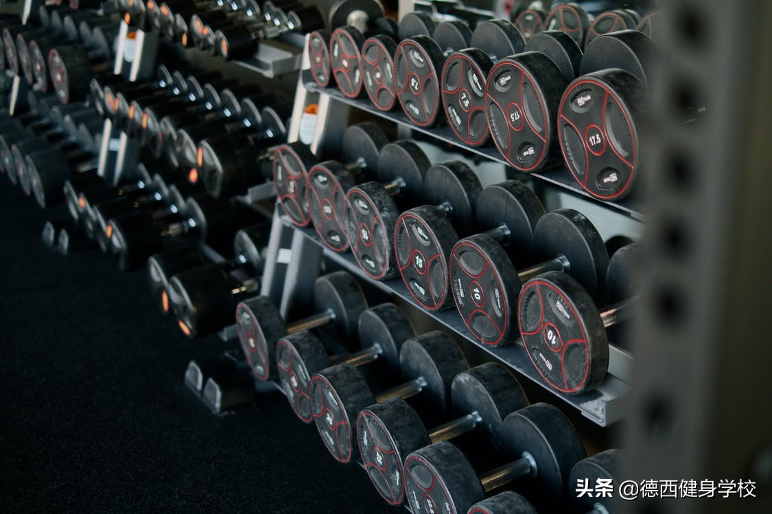 哑铃锻炼方法图解全套健身,哑铃新手健身锻炼动作大全