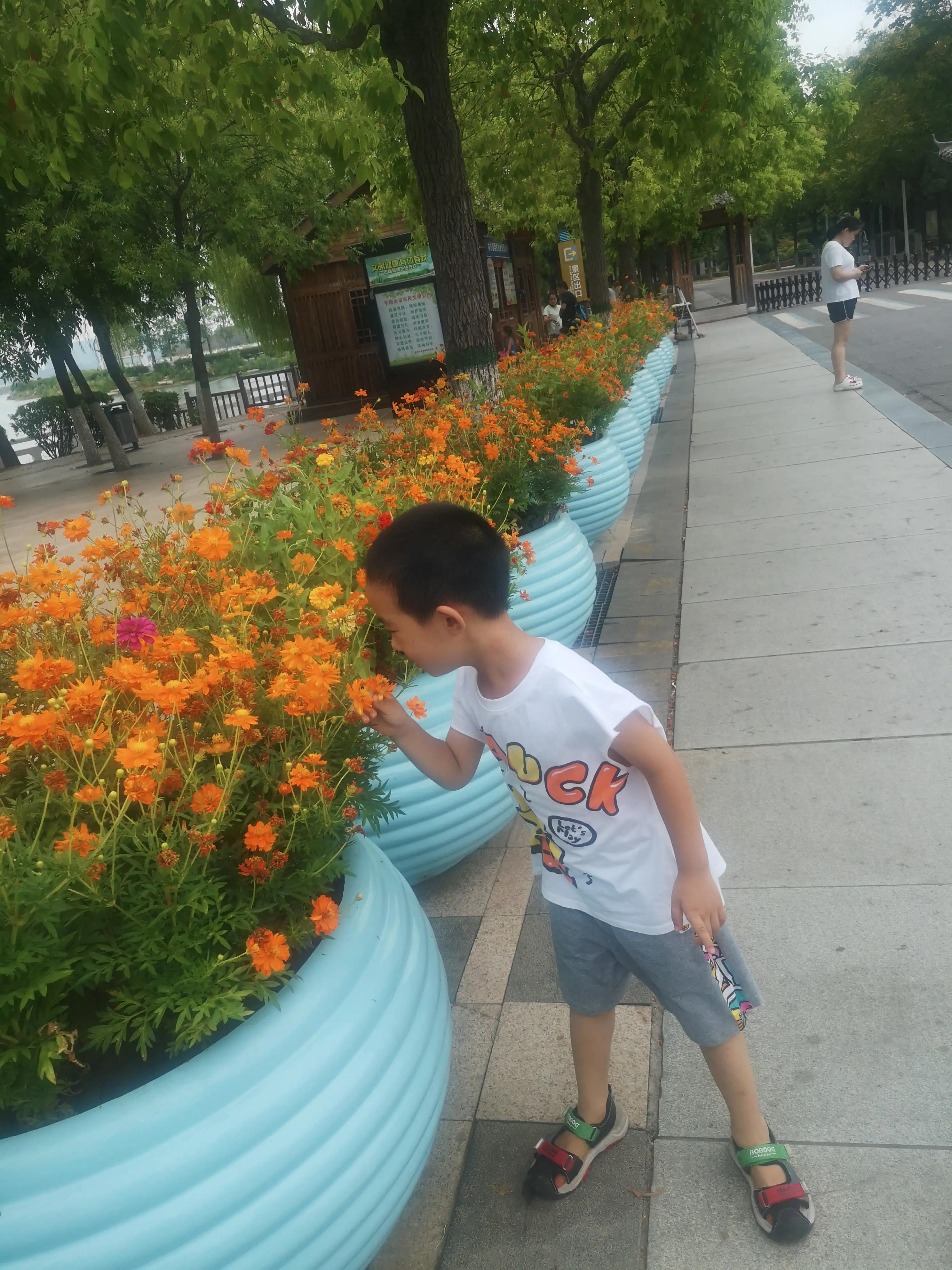 家长带领幼儿读古诗的方法,幼儿背诵古诗动作通用