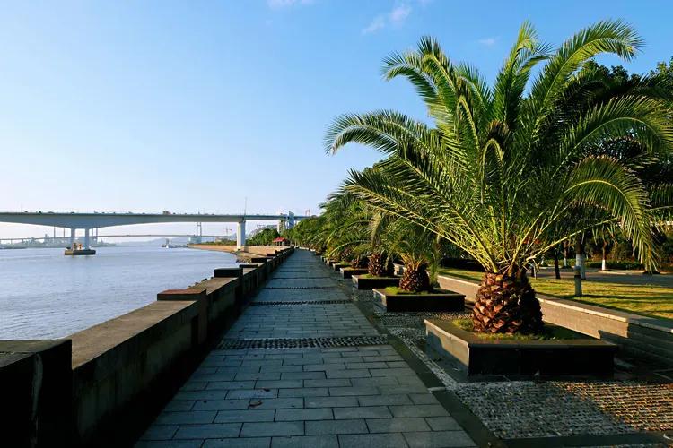 宁波北仑区大榭街道大榭岛,大榭岛到大榭海光楼