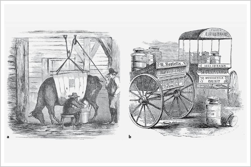 0.3克致死添加剂,添加剂1克致癌