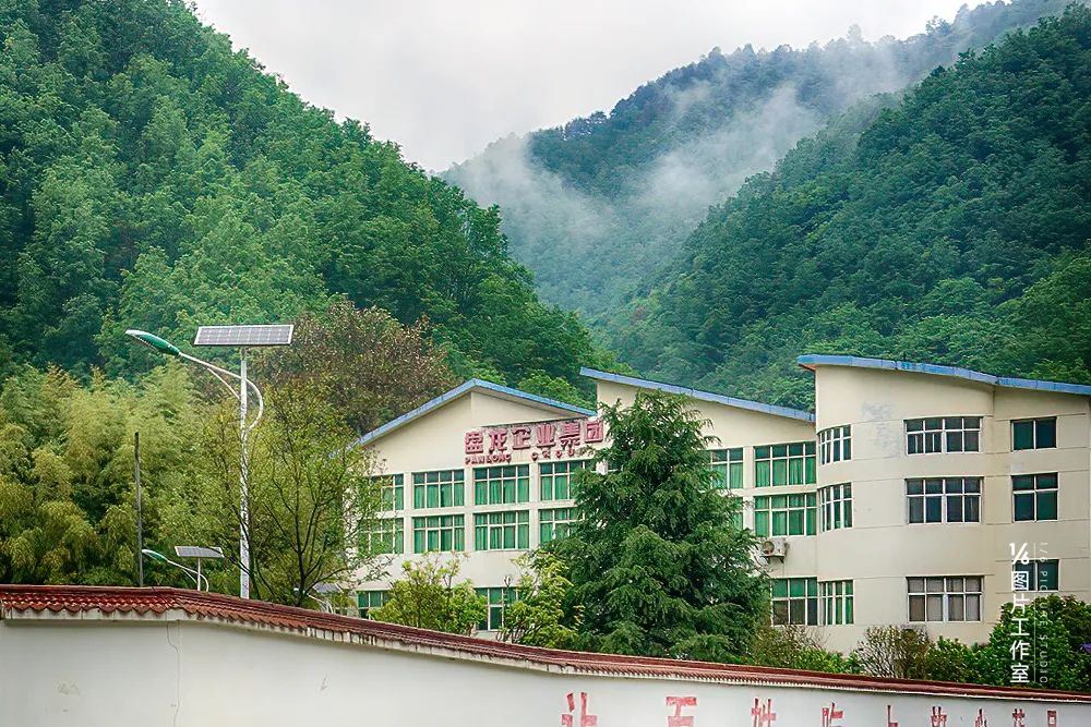 商洛打造中国康养之都金字招牌,中国康养之都商洛