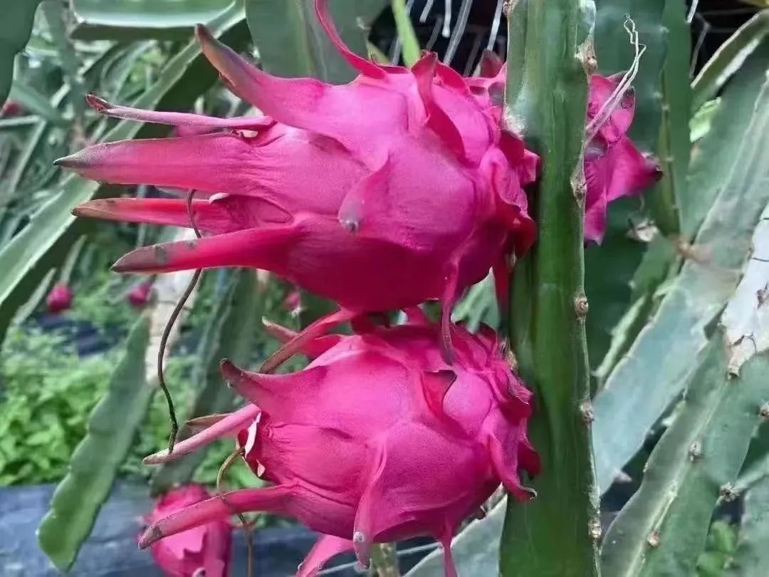 提到贵州你的第一印象是什么,提到甘肃的第一印象是什么