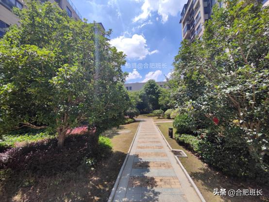 合肥蜀西湖祥源金港湾,高新区单价11500现房