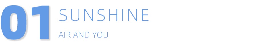 债基十二月,7月28日债基