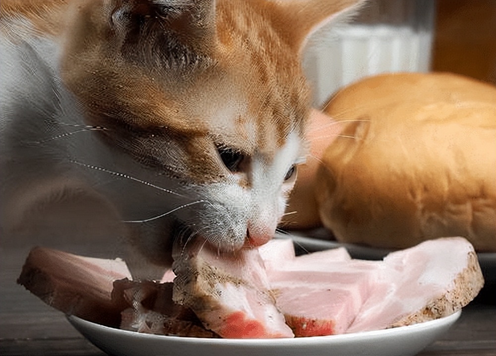 养猫知识猫咪泪痕擦不掉怎么办,养猫知识猫咪品种大全