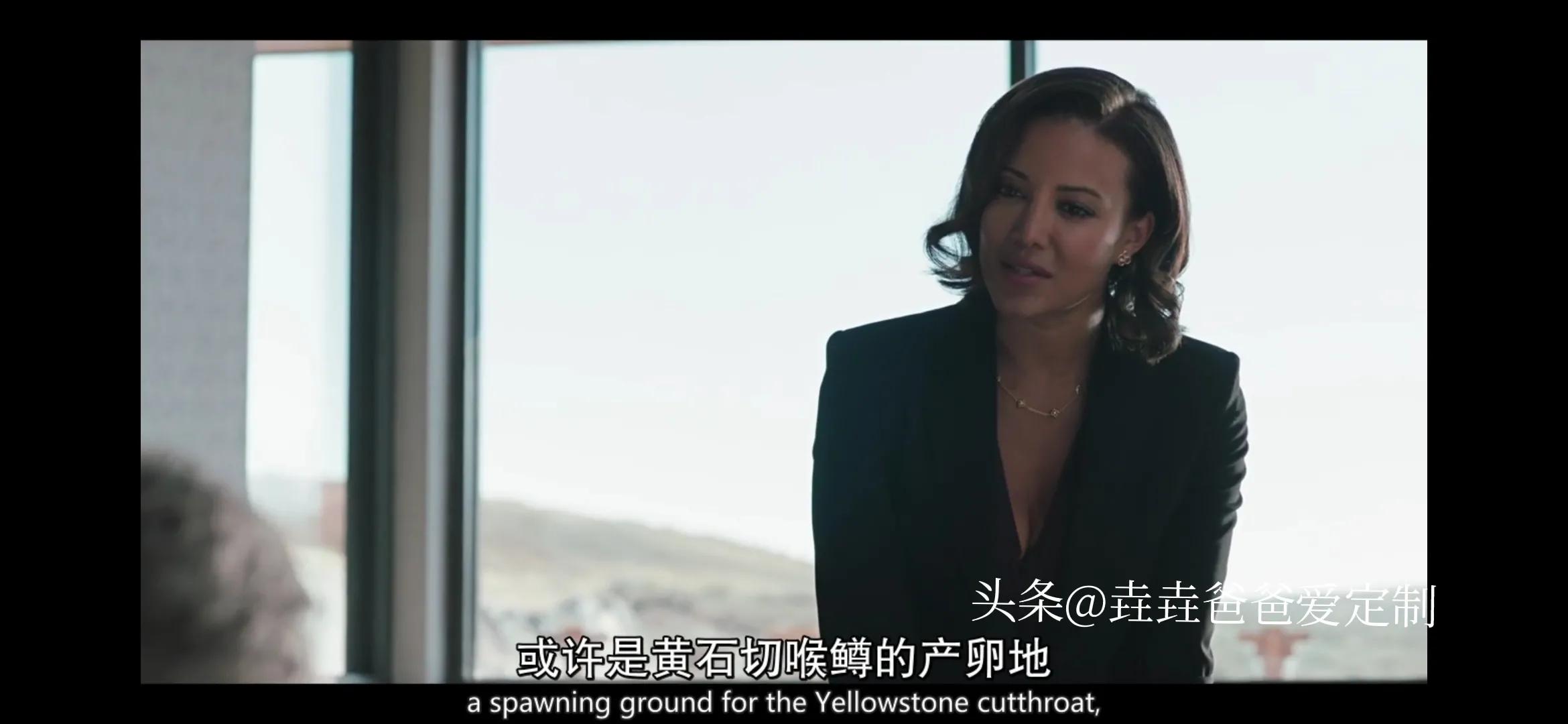 黄石第一季精彩镜头在第几集,黄石第一季有几集