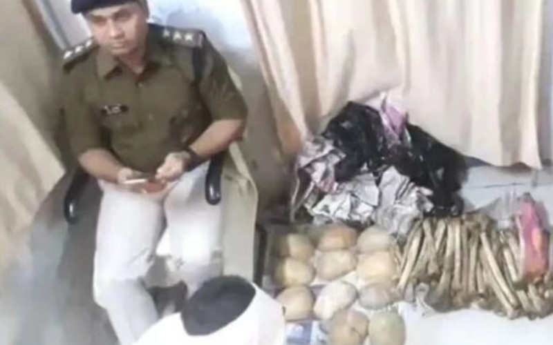 印度的特殊人骨产业链,印度人骨交易还存在吗