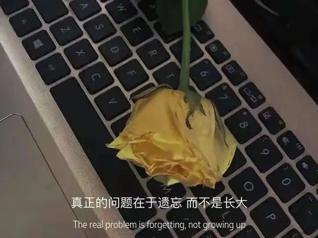 女人愿意把身体给你，多半说明三个问题，别后知后觉