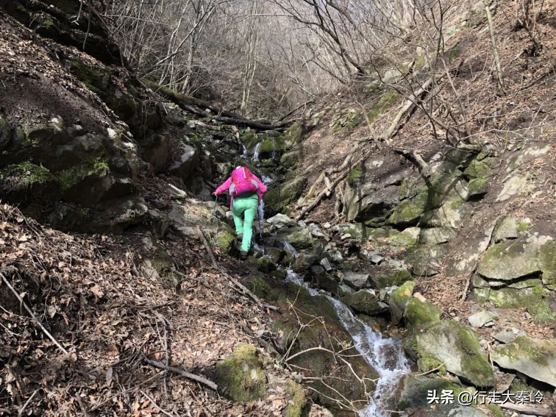 首阳山穿越大坪梁景色怎么样,大坪梁穿越到首阳山攻略