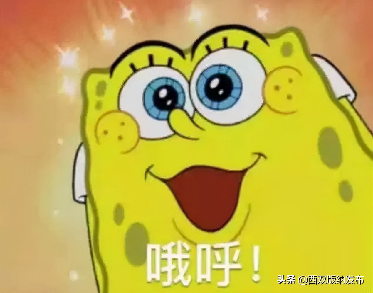 青动态|@西双版纳的大学生：2022年景洪市寒假“返家乡”社会实践活动来啦，200余个岗位虚位以待！