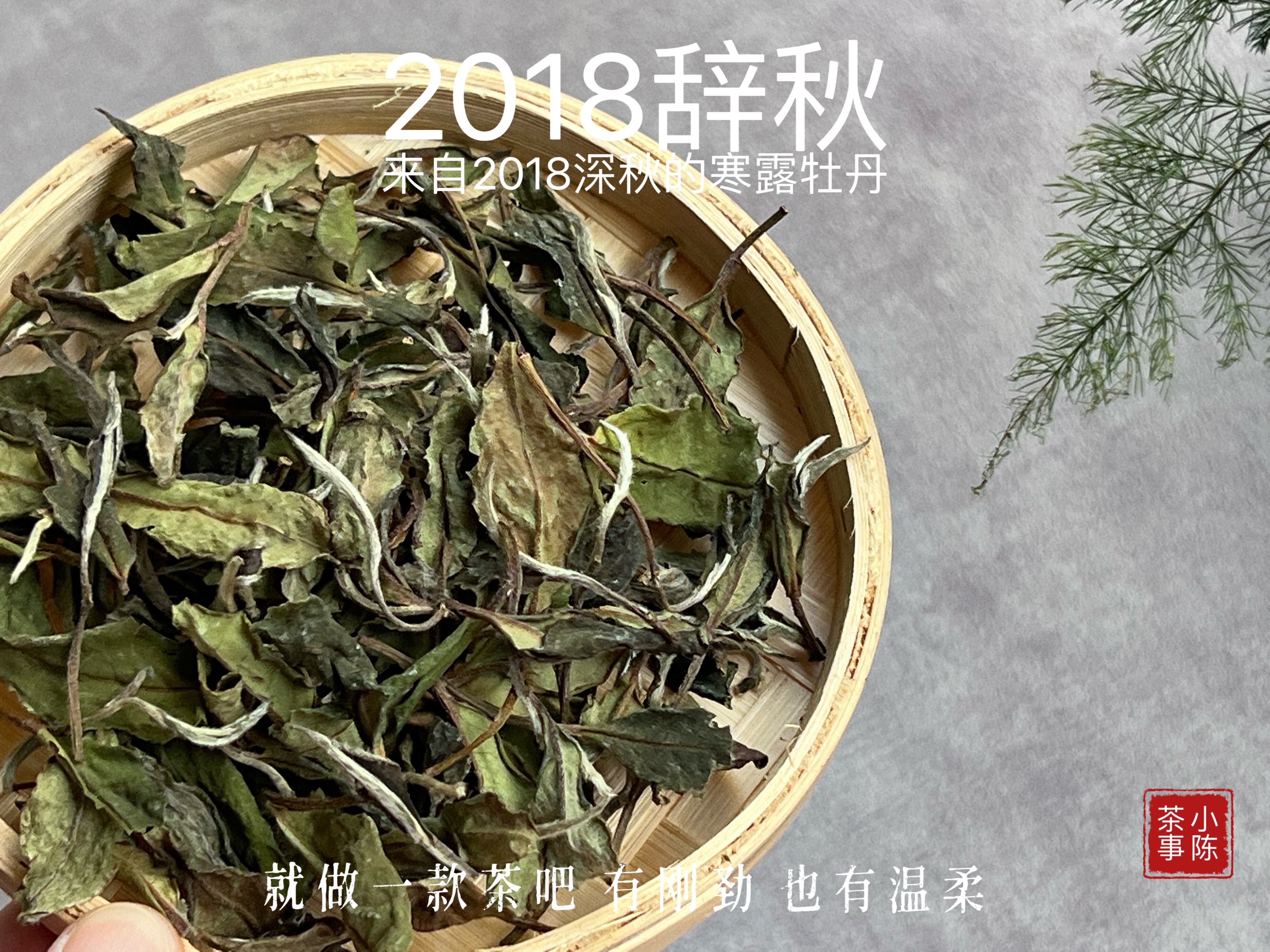 家庭存茶要避灯光吗,家庭存茶的忌讳