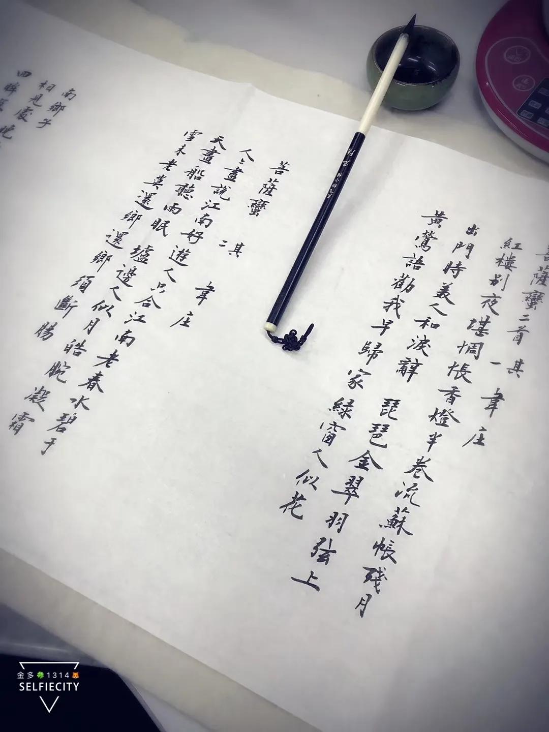 一叶一花一菩提原版,一叶一花一菩提图片