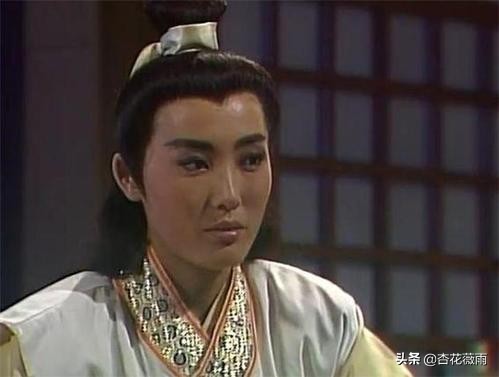 这些新加坡电视剧你都看过了吗,推荐新加坡经典老电视剧