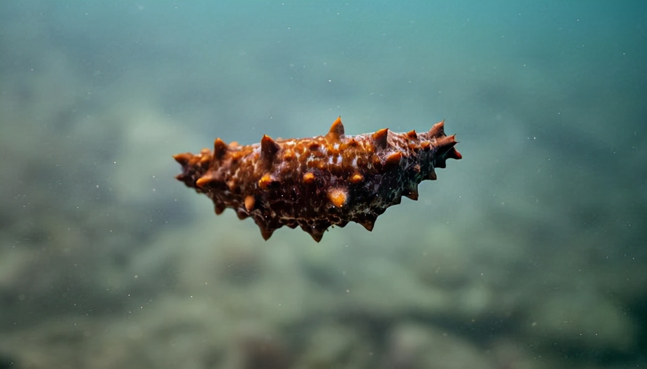 老人去医院检查五脏六腑离奇消失,50岁大爷五脏六腑离奇消失