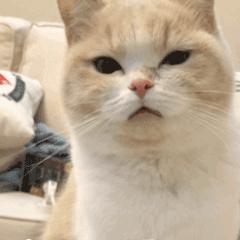 日常必备营销干货记得收藏,6月营销思路