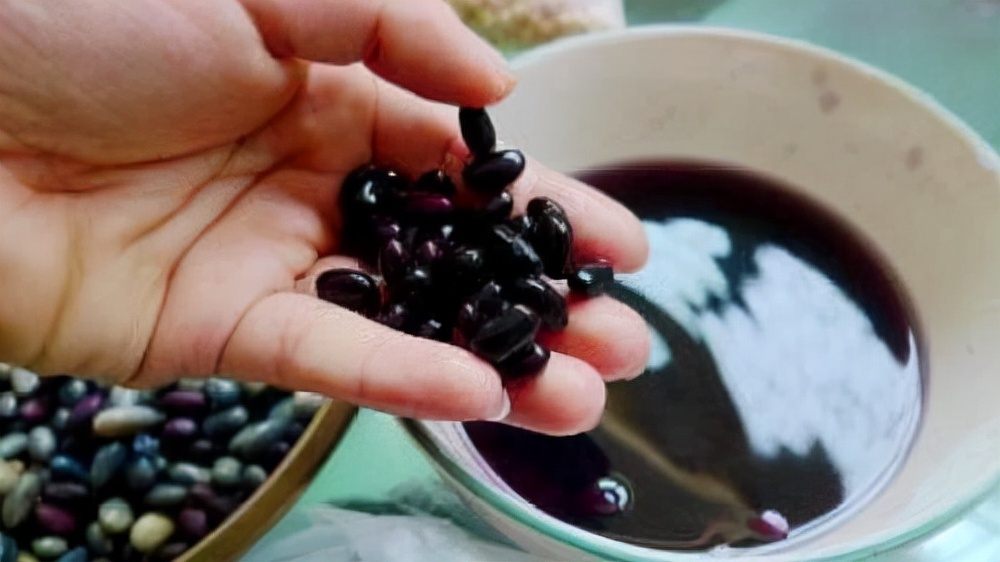 男性补肾养肾食物有哪些,男性补肾产精的食物有哪些