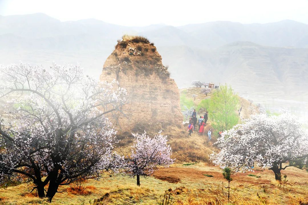 迎接党的20大美术作品,喜迎二十大乡村摄影展