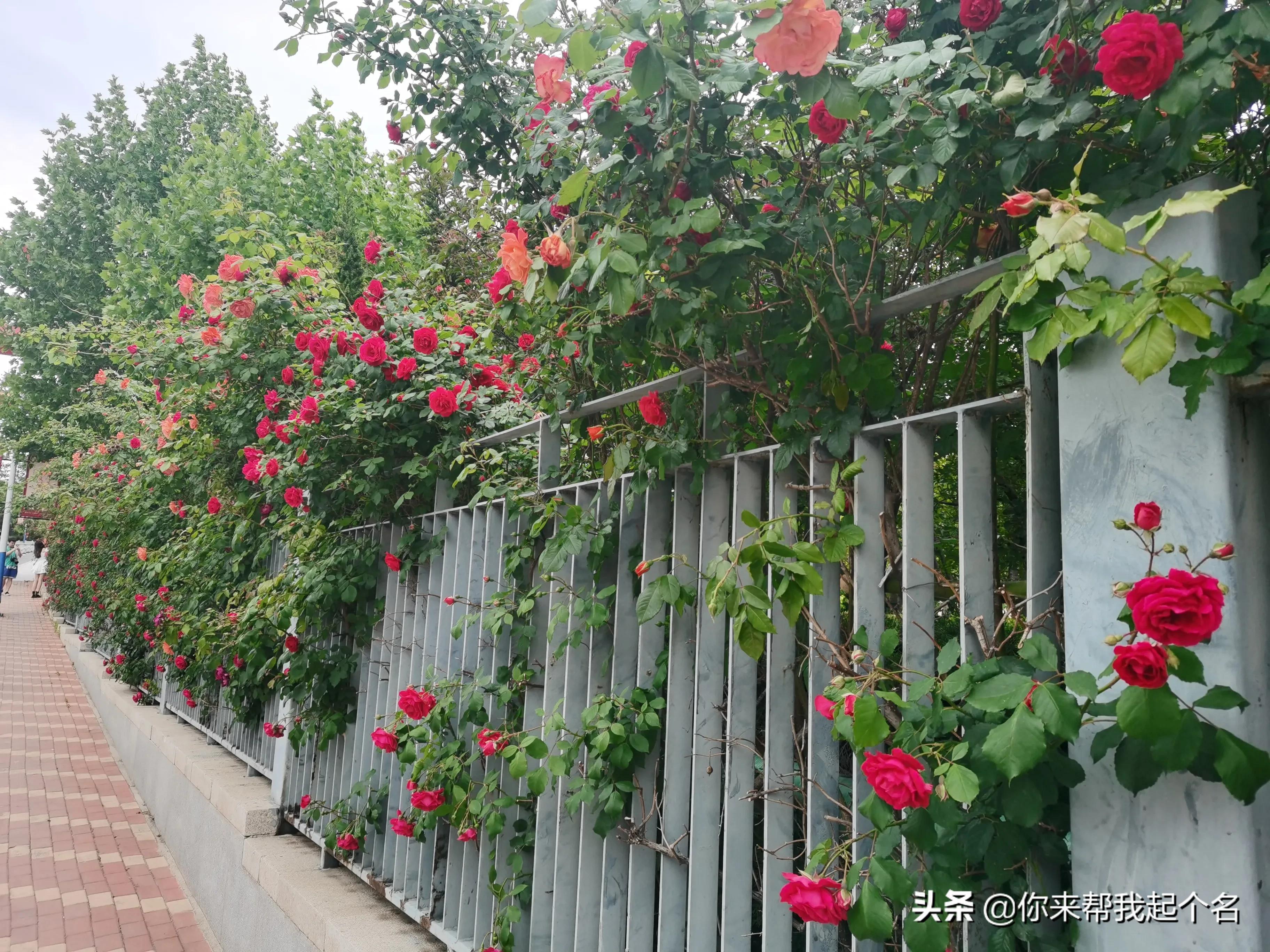 群内打广告该怎么正确管理,群里有人打广告怎么清除