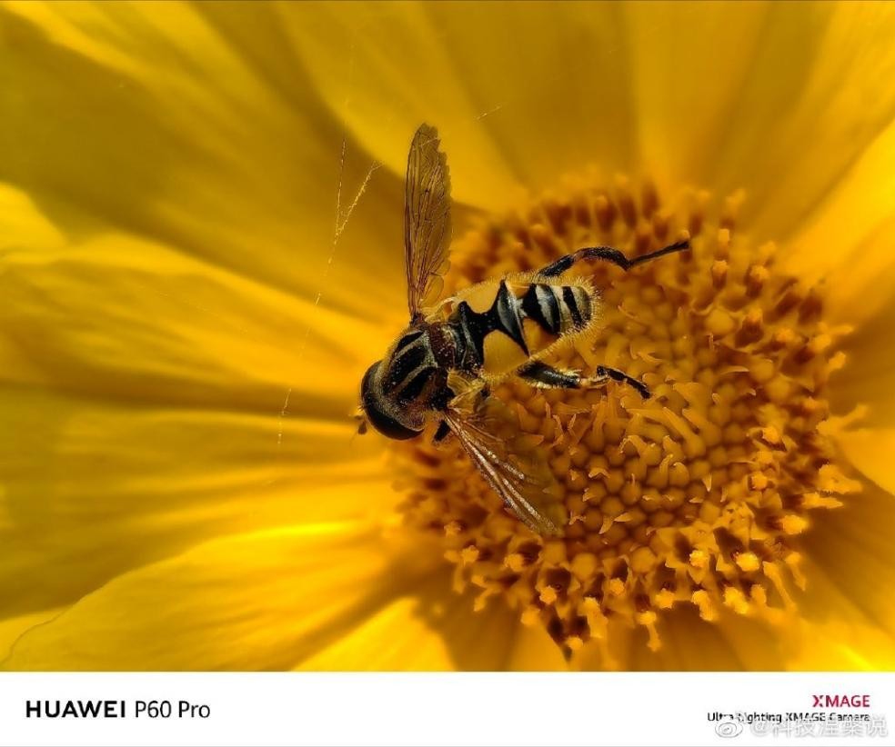 华为p60与苹果14promax谁值得买,华为p60pro12gb512gb和苹果14pro