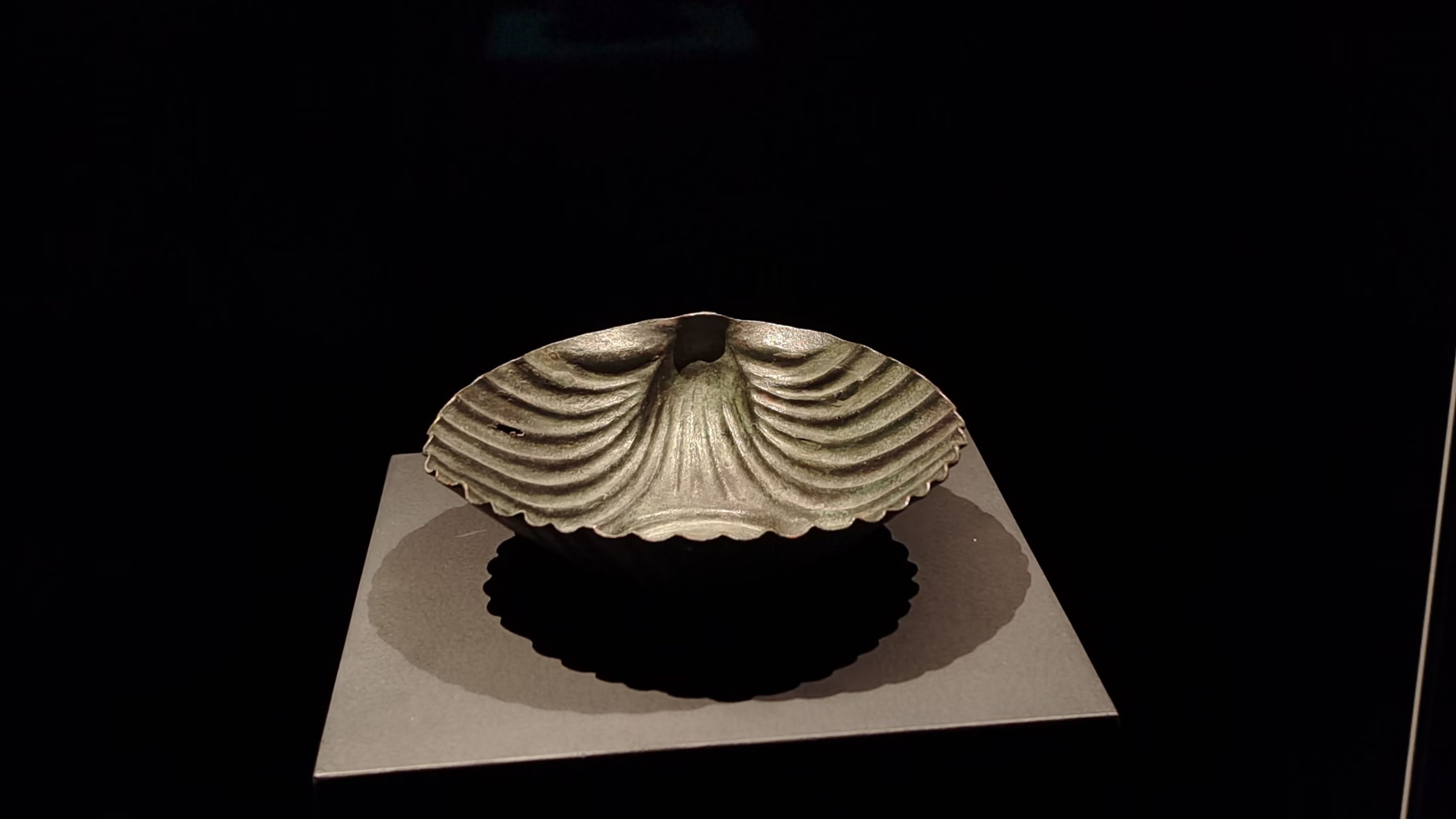 研学上海旅游攻略,上海研学旅行攻略