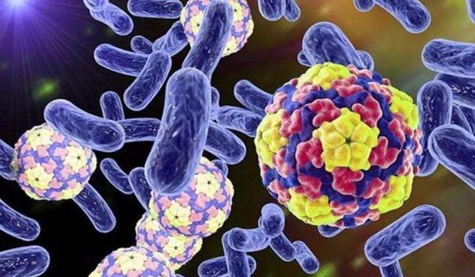 夫妻性传播疾病有哪些,得了性传播有哪些症状