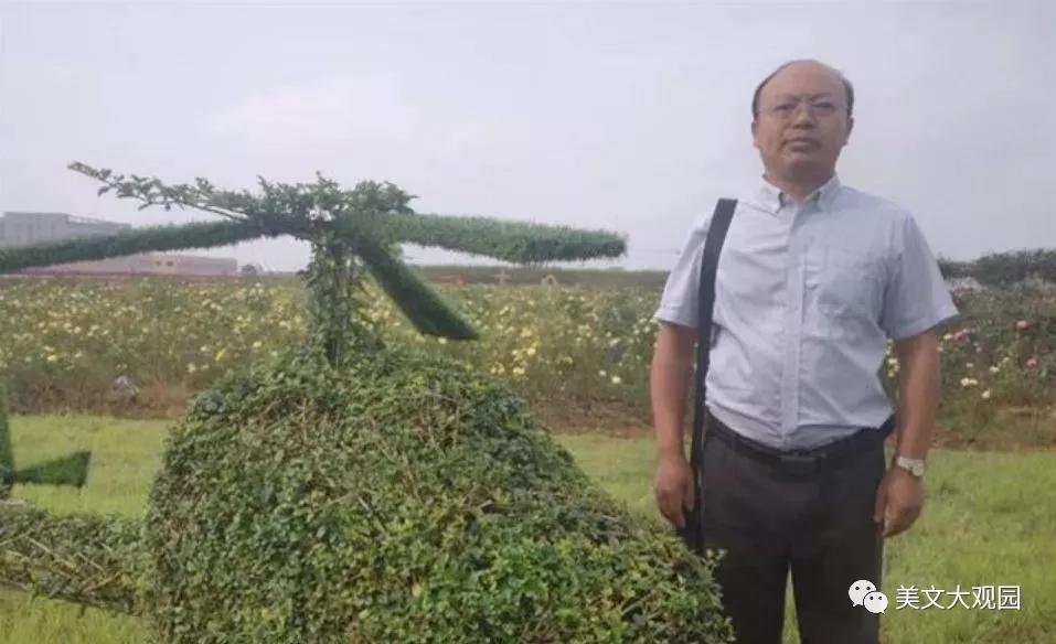 美文美声｜慧子的瓷像店