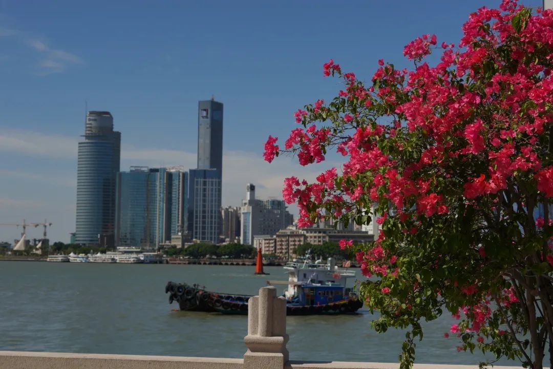 鼓浪屿免费景点攻略大全最新,值得去的旅游景点鼓浪屿