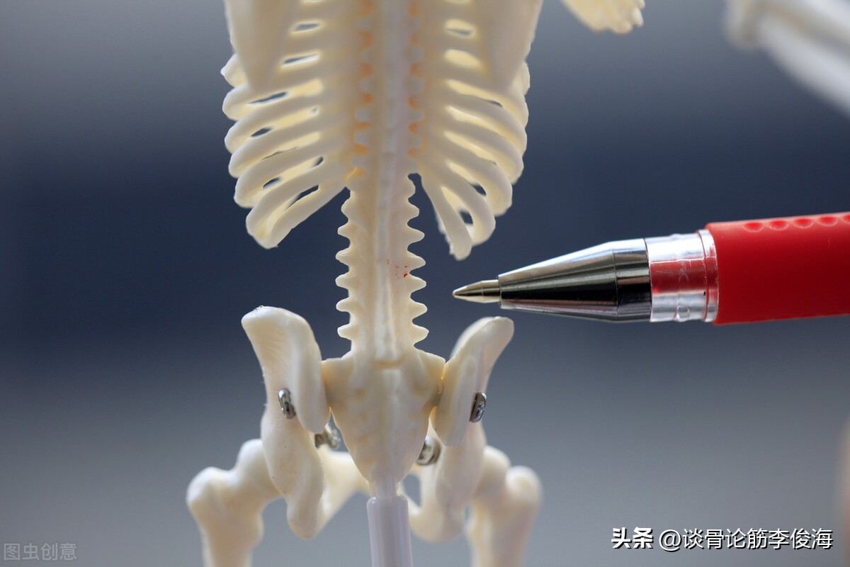 自测你是腰肌劳损还是腰间盘突出,腰肌劳损和腰间盘突出怎么分辨