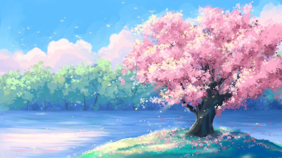 当你情绪烦躁时该怎么平复,怎么调节心烦意乱的情绪