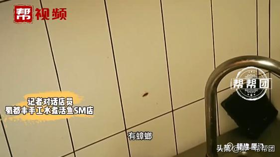 被老鼠咬过的熟土豆还能吃吗,吃了老鼠咬过的土豆怎么办