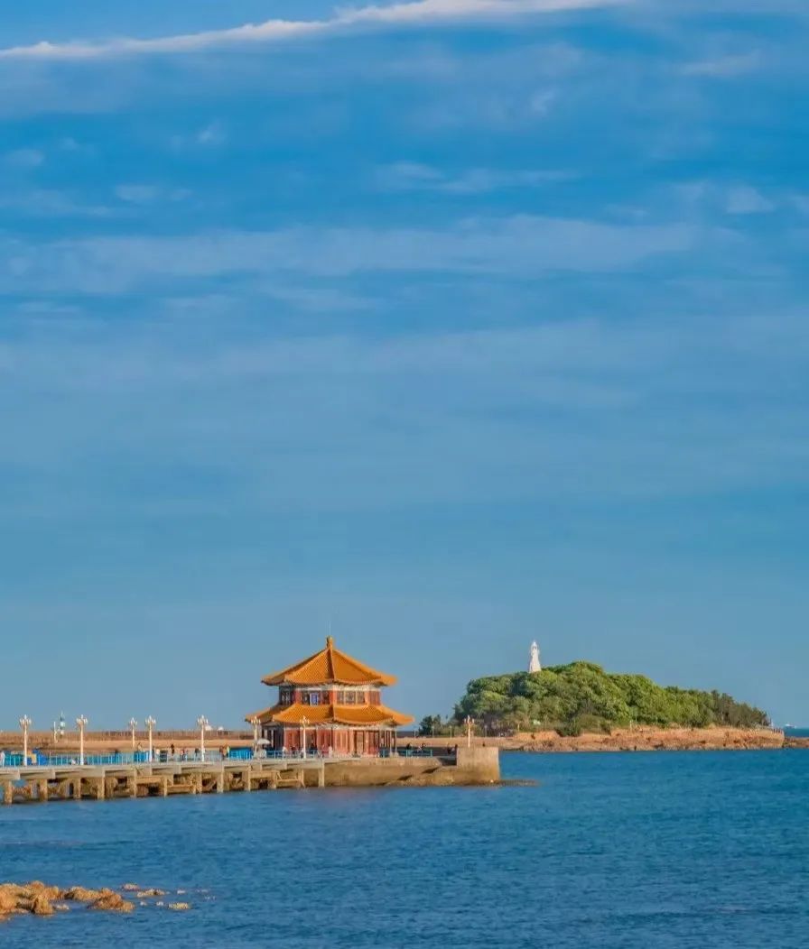 青岛绝美的一条路,青岛都是树的风景路