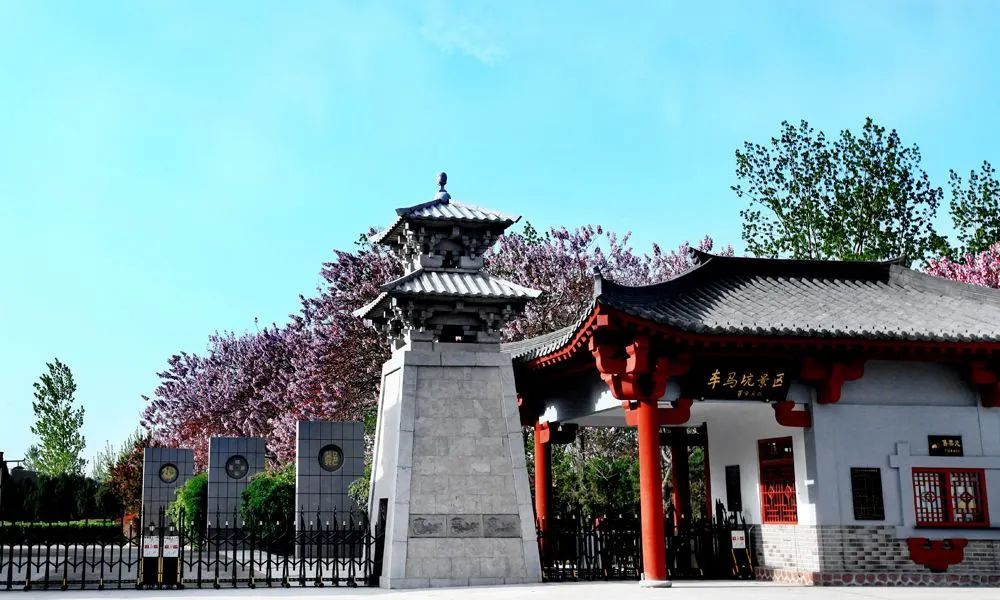 行走河南读懂中国文旅大会推介片,行走河南读懂中国文化艺术节