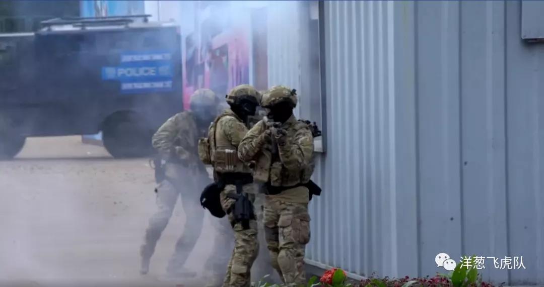 虎年说虎科普视频,虎年说虎运用了哪些说明方法