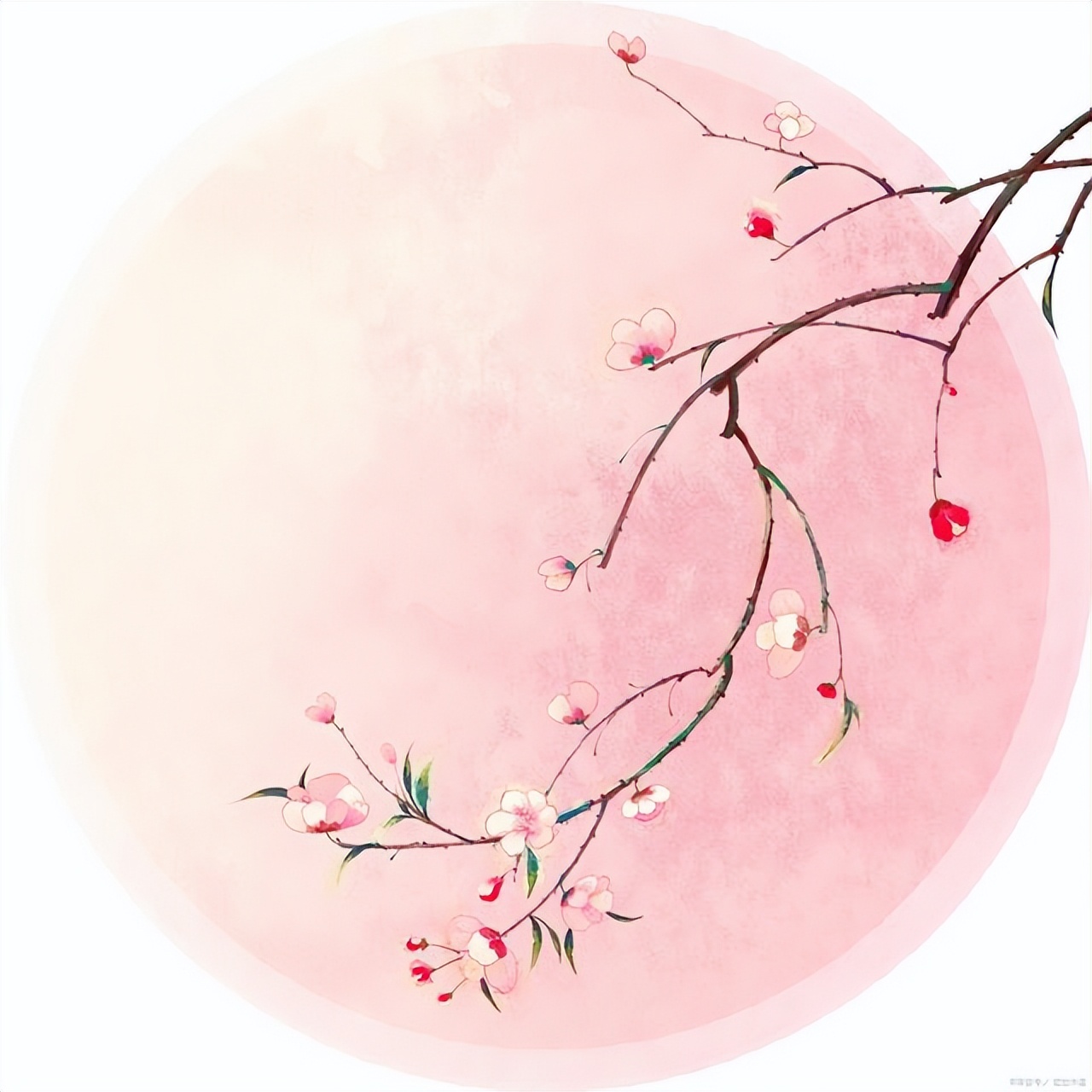 游戏篇章丛林,游戏qq炫舞游泳