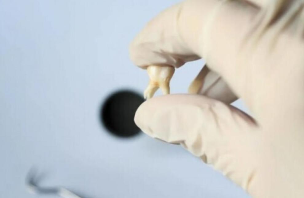 zr电动牙刷和小米电动牙刷哪个好,usmile电动牙刷和飞利浦电动牙刷