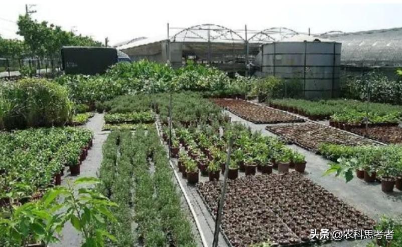 家庭农场发展面临的困境及对策,家庭农场未来发展的对策与建议