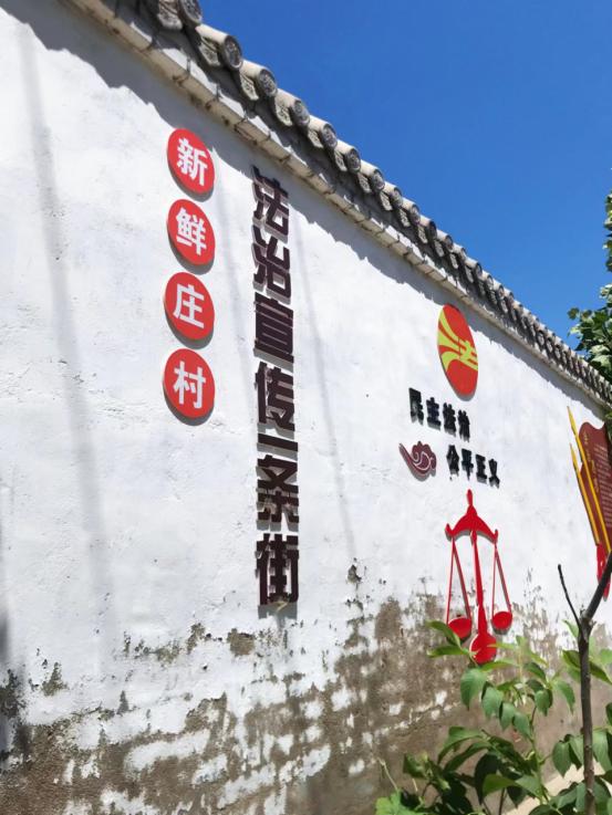 邱县人民政府荣获2022年度全市法治政府示范创建优秀单位