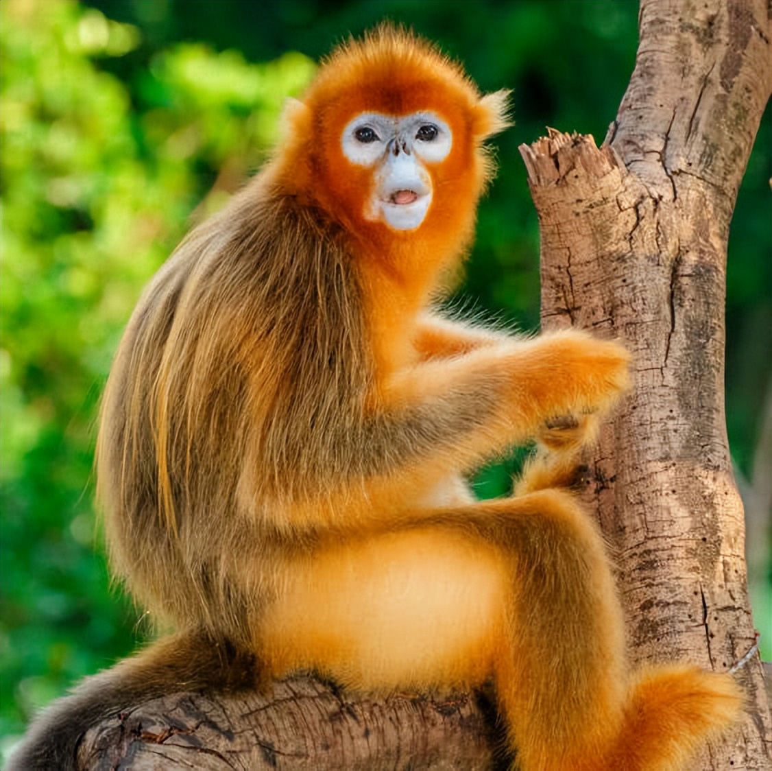 广州长隆酒店童趣乐园,广州游玩长隆性价比超高的酒店