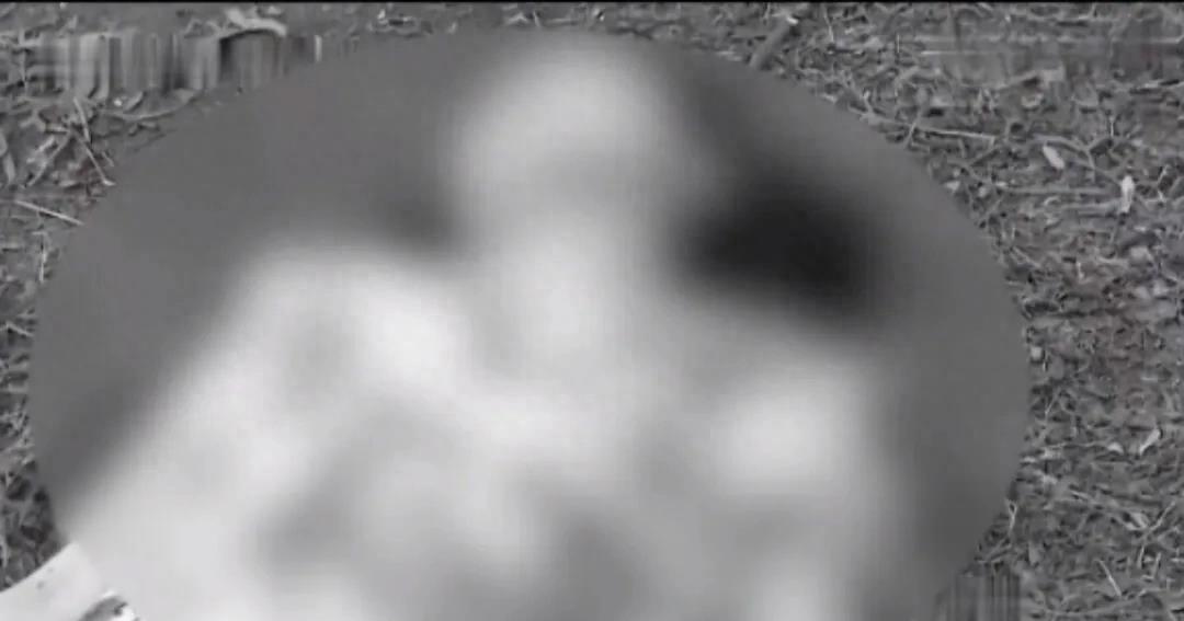 惊天血案：凶手掏肠杀人，少女悲惨遇害！