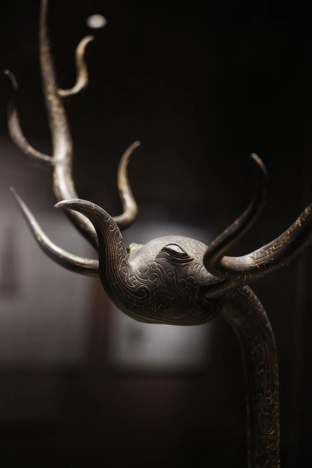 随州旅游景区夜景,随州大洪山金顶看日出