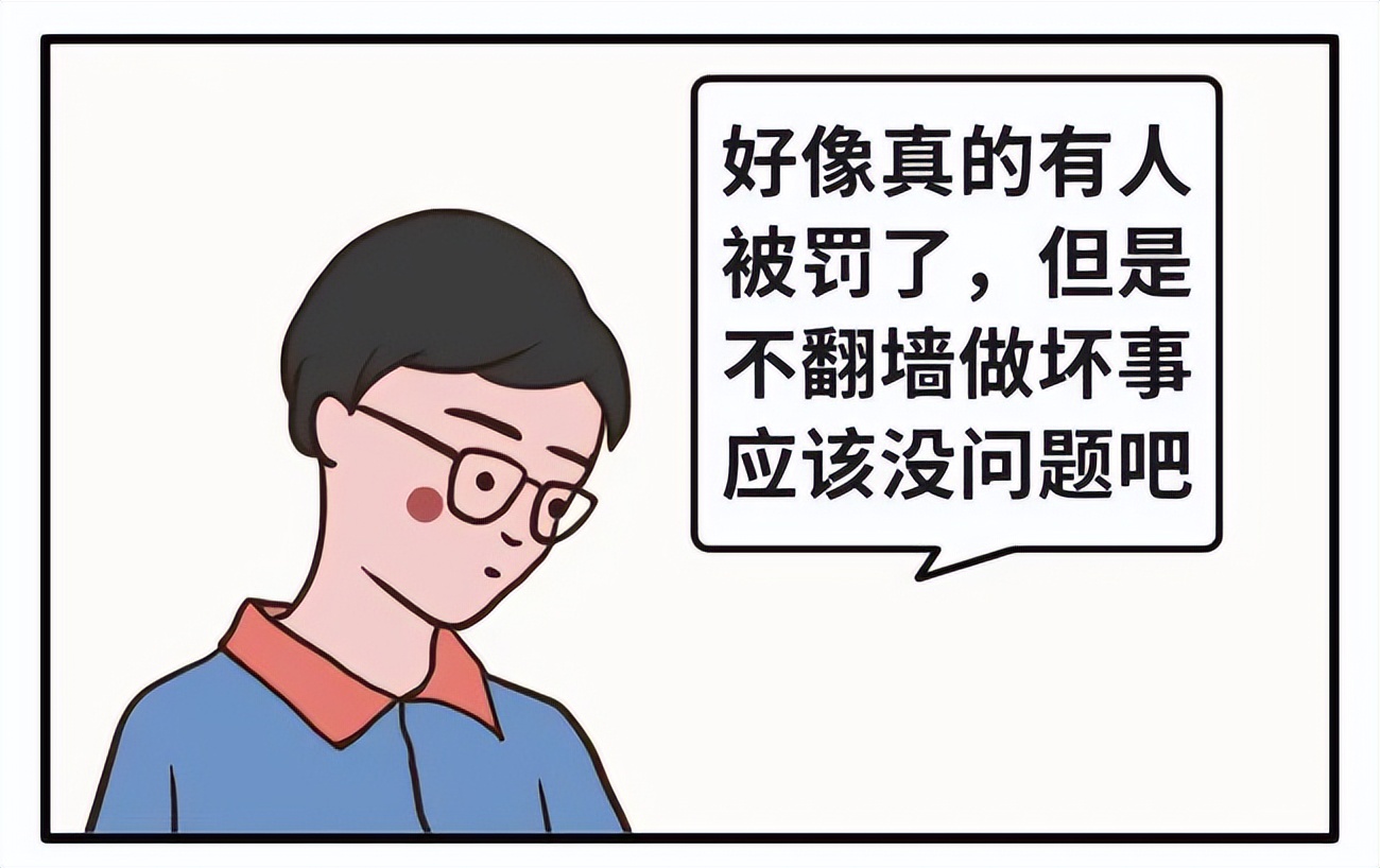 网络漏洞挖掘与防范,网络漏洞解析