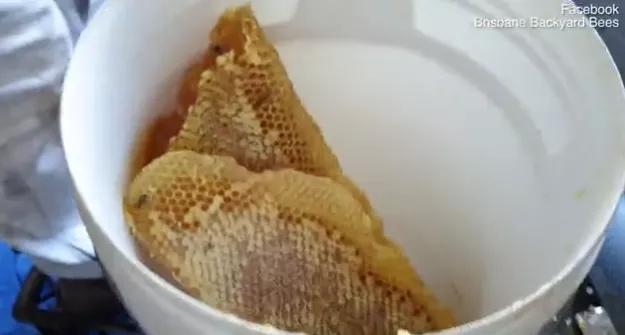 澳洲夫妇家墙壁突然莫名“渗血”!两人鼓起勇气拆开墙