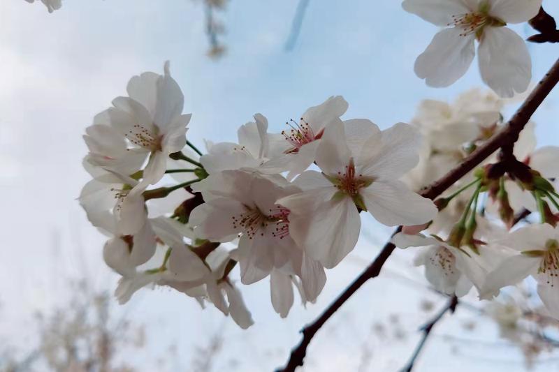 怎么应付控制欲强的人,控制欲强的人心理分析