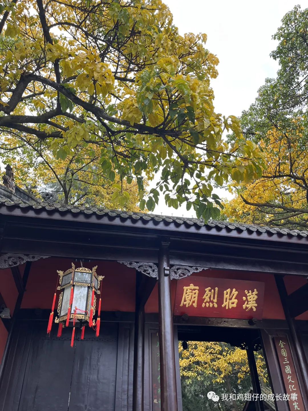 成都双流区特色美食排行榜前十名,成都建设路美食一条街详细地址