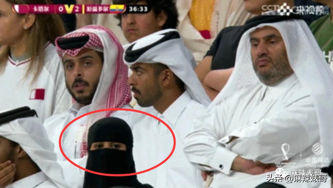 金晨模仿卡塔尔小王子自拍,金晨模仿卡塔尔王子自拍引热议