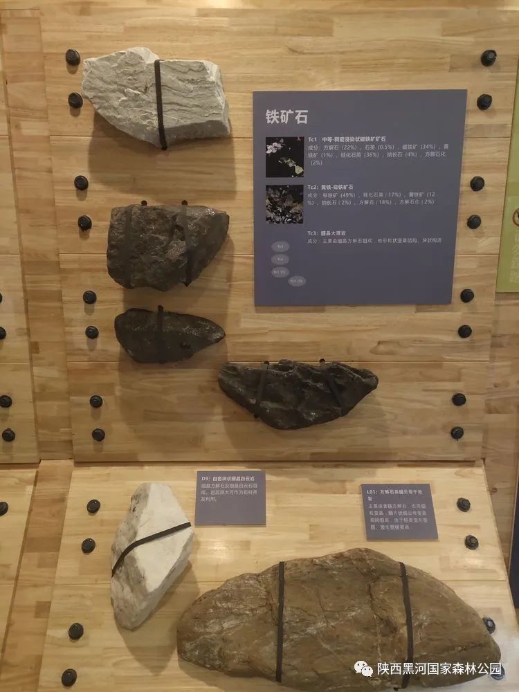 中国旅游日免费黑河景点,中国旅游日黑河森林公园