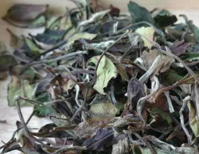 福鼎白茶贡眉与寿眉哪一种价格贵,福鼎白茶野生老白茶散装寿眉贡眉