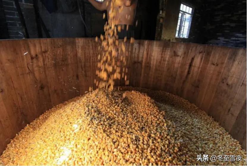 农村酿酒赚钱吗,农村土法酿酒有前景吗